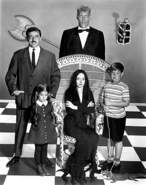 Addams&x27; work gained him notoriety, and he was known as an eccentric figure with a reputation for. . Wikipedia the addams family